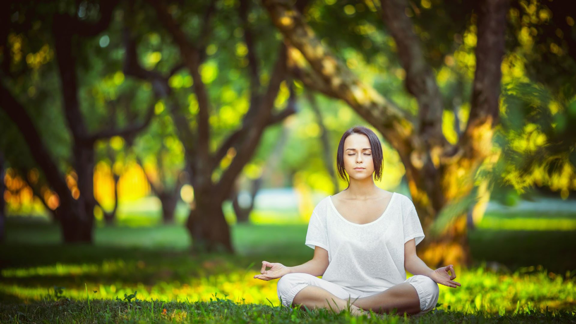 莎拉波娃联赛第二球细节尽显王者风范
